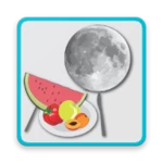 lunar calendar of fasts and diets android application logo